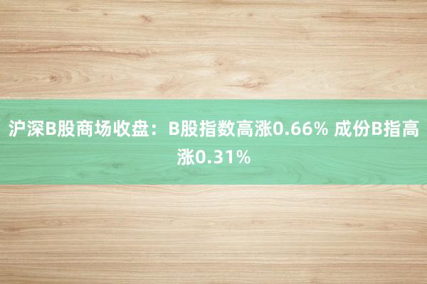 沪深B股商场收盘：B股指数高涨0.66% 成份B指高涨0.31%